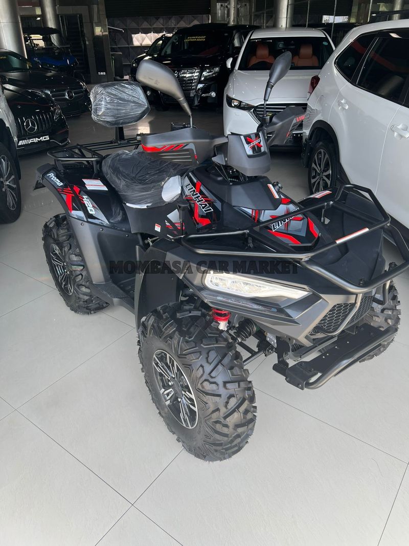 Bike Linhai 420