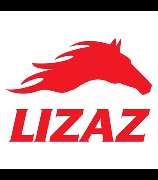 LIZAZ ENTERPRISES LTD